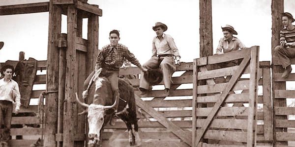 The Ranch